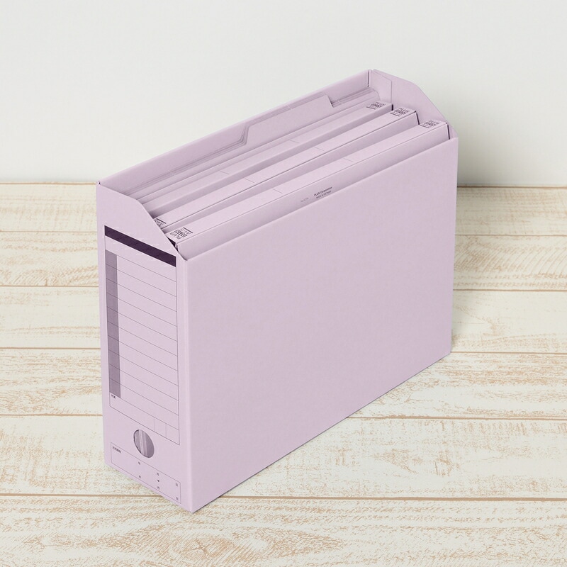 プラス(PLUS)個別フォルダー エコノミー A4-E 10枚入 バイオレット FL