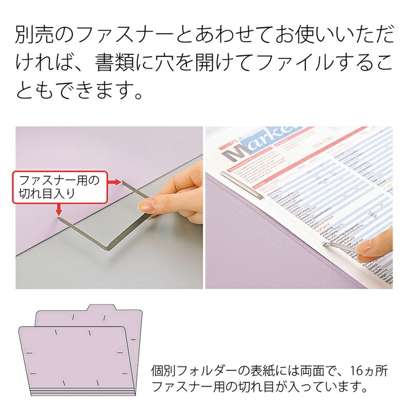 プラス(PLUS)個別フォルダー エコノミー A4-E 10枚入 バイオレット FL