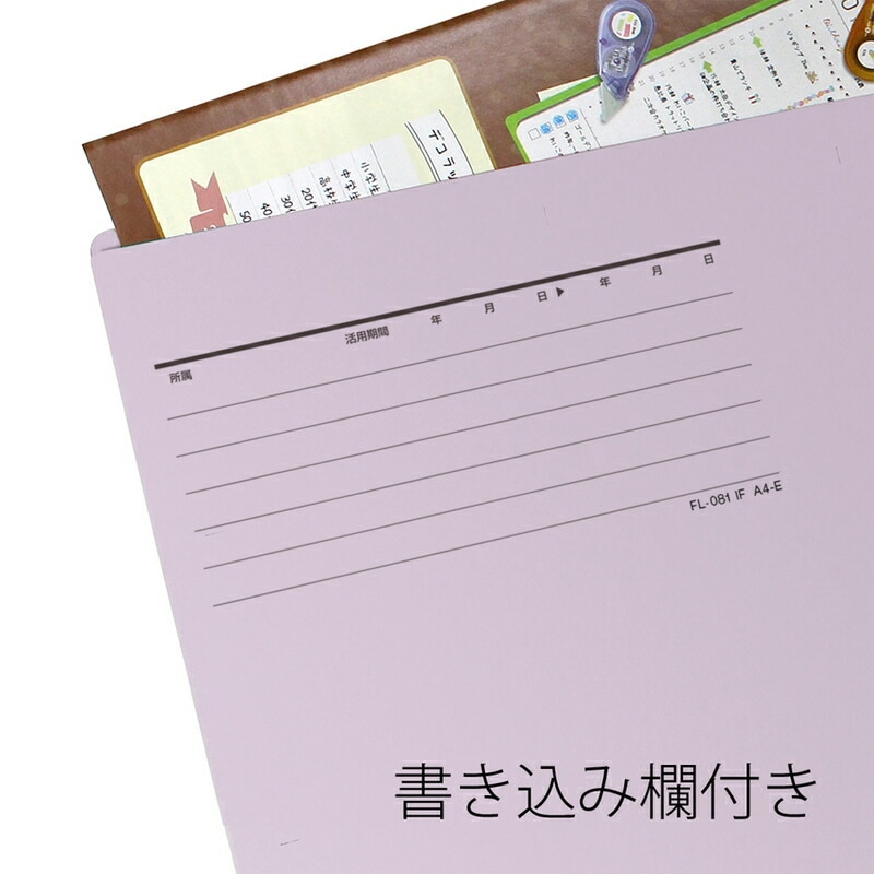 プラス(PLUS)個別フォルダー エコノミー A4-E 10枚入 バイオレット FL