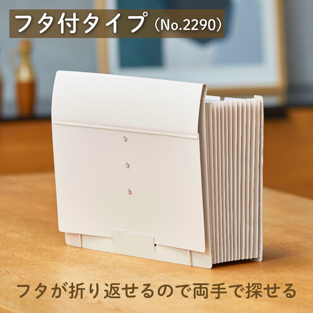 キングジム KINGJIM サクッと整理 ドキュメントファイル (フタ付) シロ