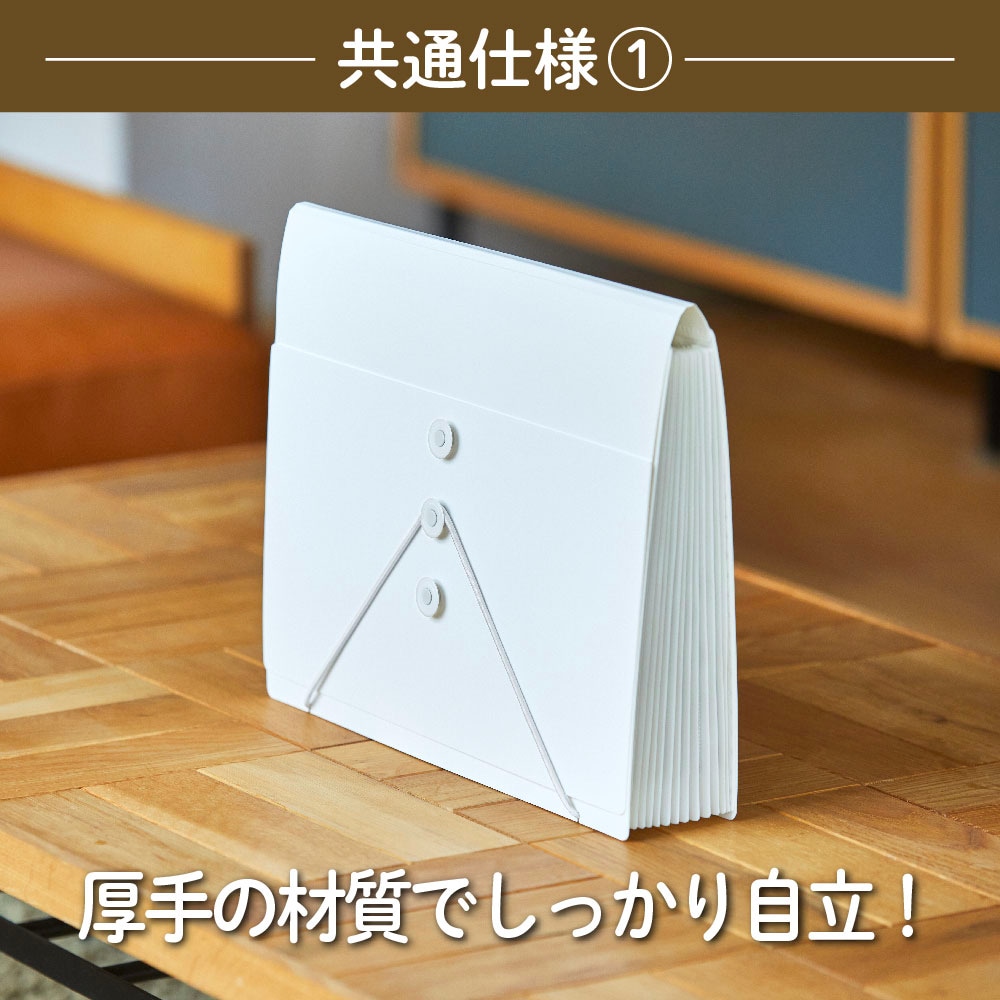 キングジム KINGJIM サクッと整理 ドキュメントファイル (オープン