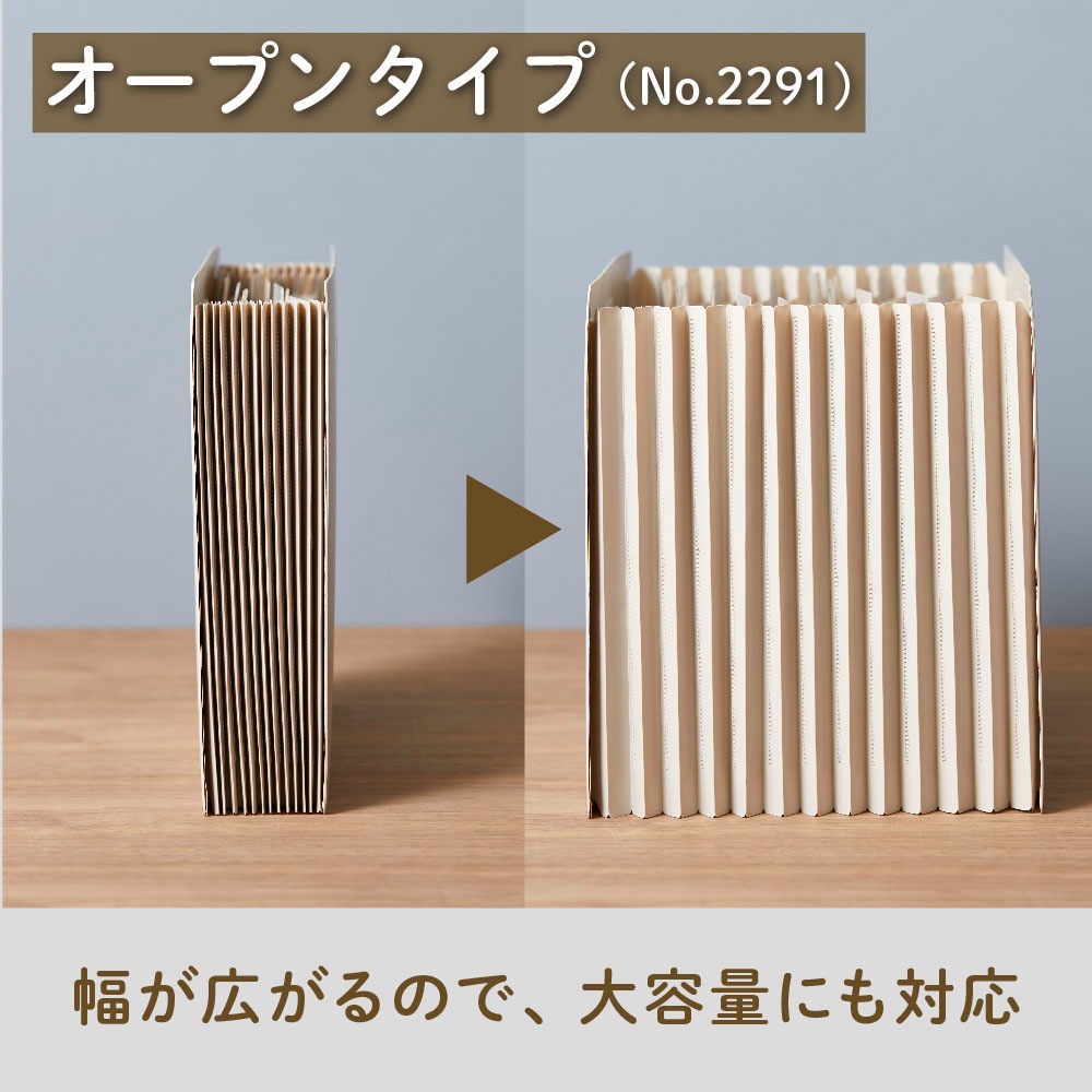 キングジム KINGJIM サクッと整理 ドキュメントファイル (オープン