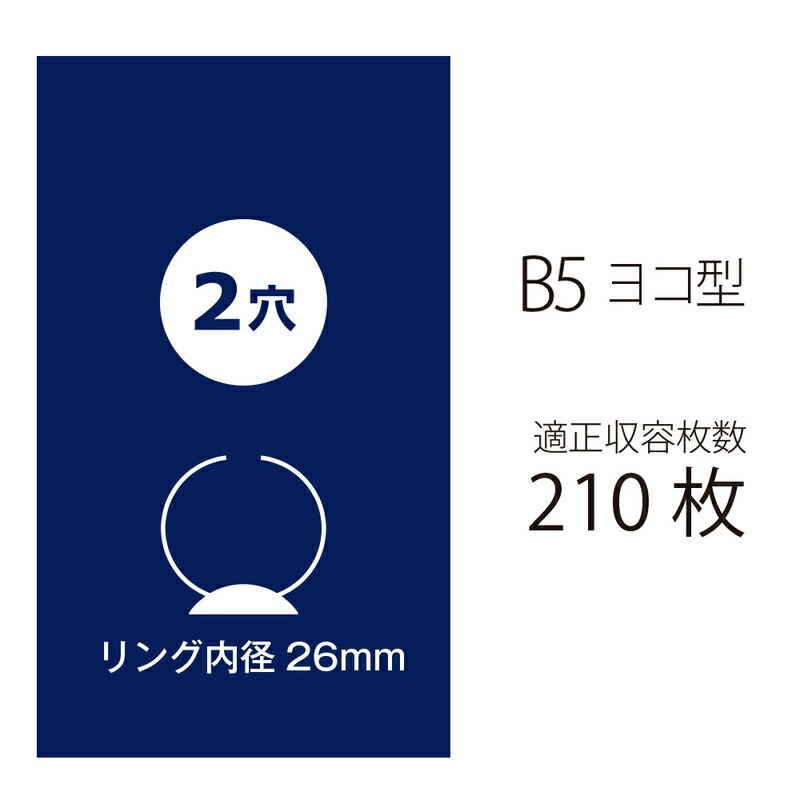 プラス(PLUS)リングファイル スーパーエコノミー 2穴 B5-E 210枚とじ