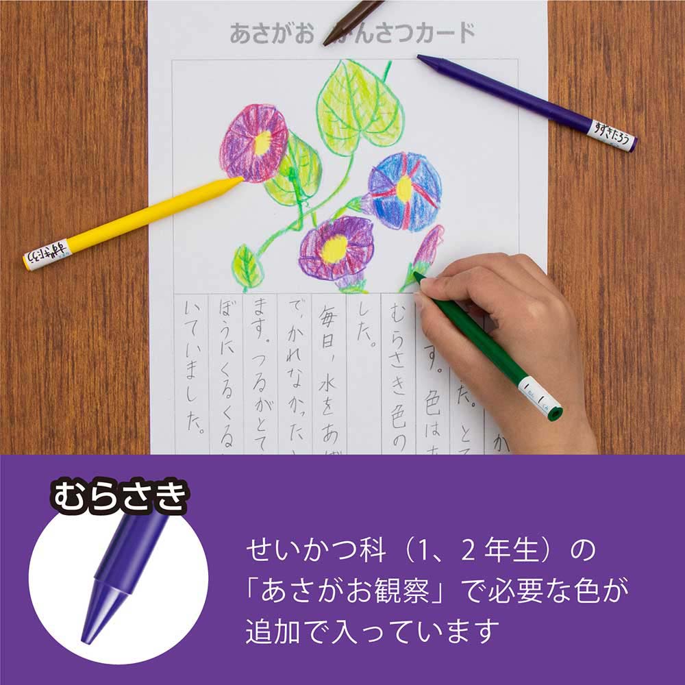 ペンテル 小学校色えんぴつ 12色 + ３色 GCG1-12P3