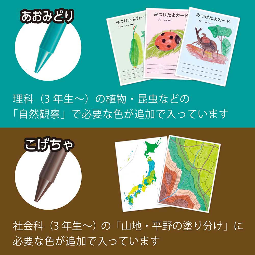 ペンテル 小学校色えんぴつ 12色 + ３色 GCG1-12P3