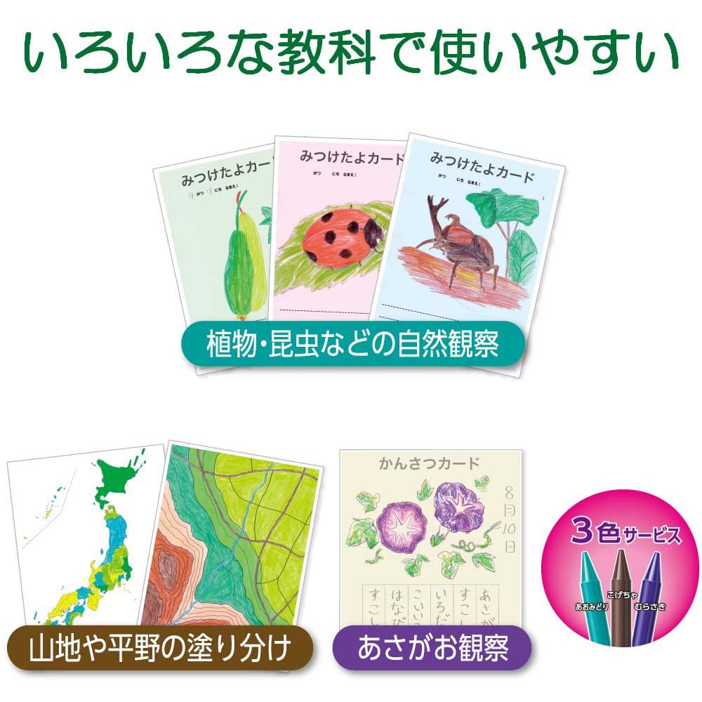 ペンテル 小学校色えんぴつ 12色 + ３色 GCG1-12P3
