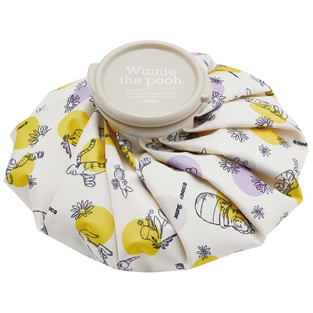 スケーター アイスバッグM くまのプーさん23 ICB2 外遊び アウトドア