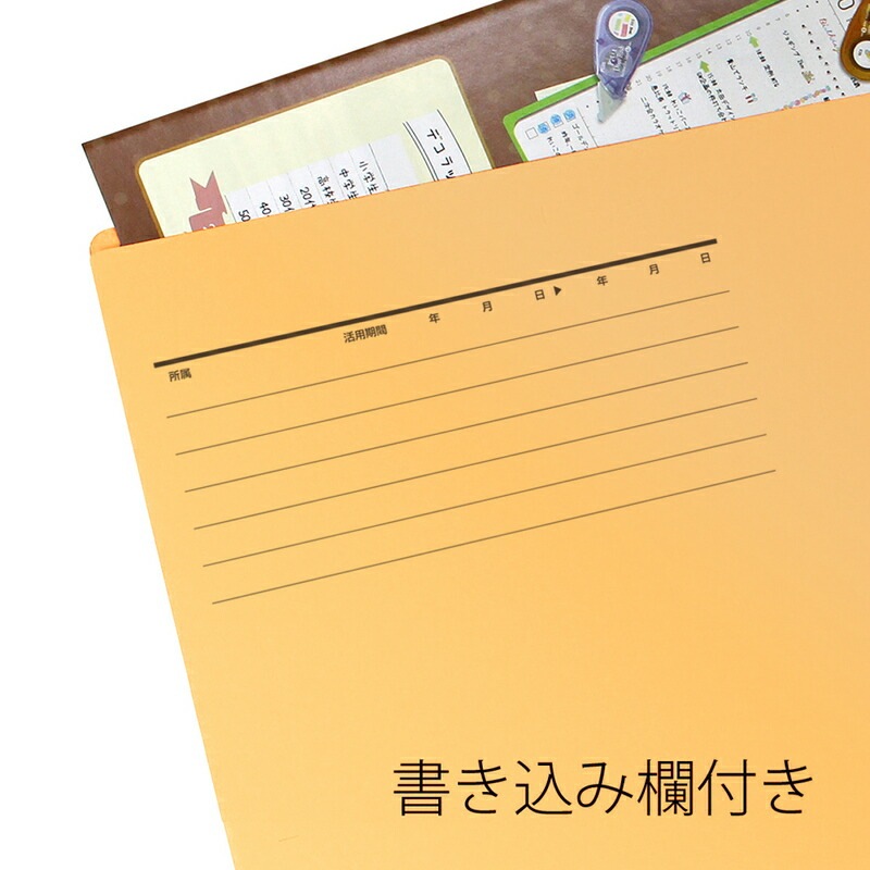 プラス(PLUS) 個別フォルダー カットフォルダー マチなし 4山 A4-E