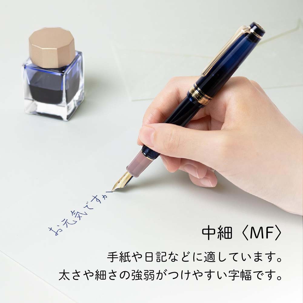 セーラー万年筆 sailor 四季織 山水 万年筆 夕燕（ゆうつばめ