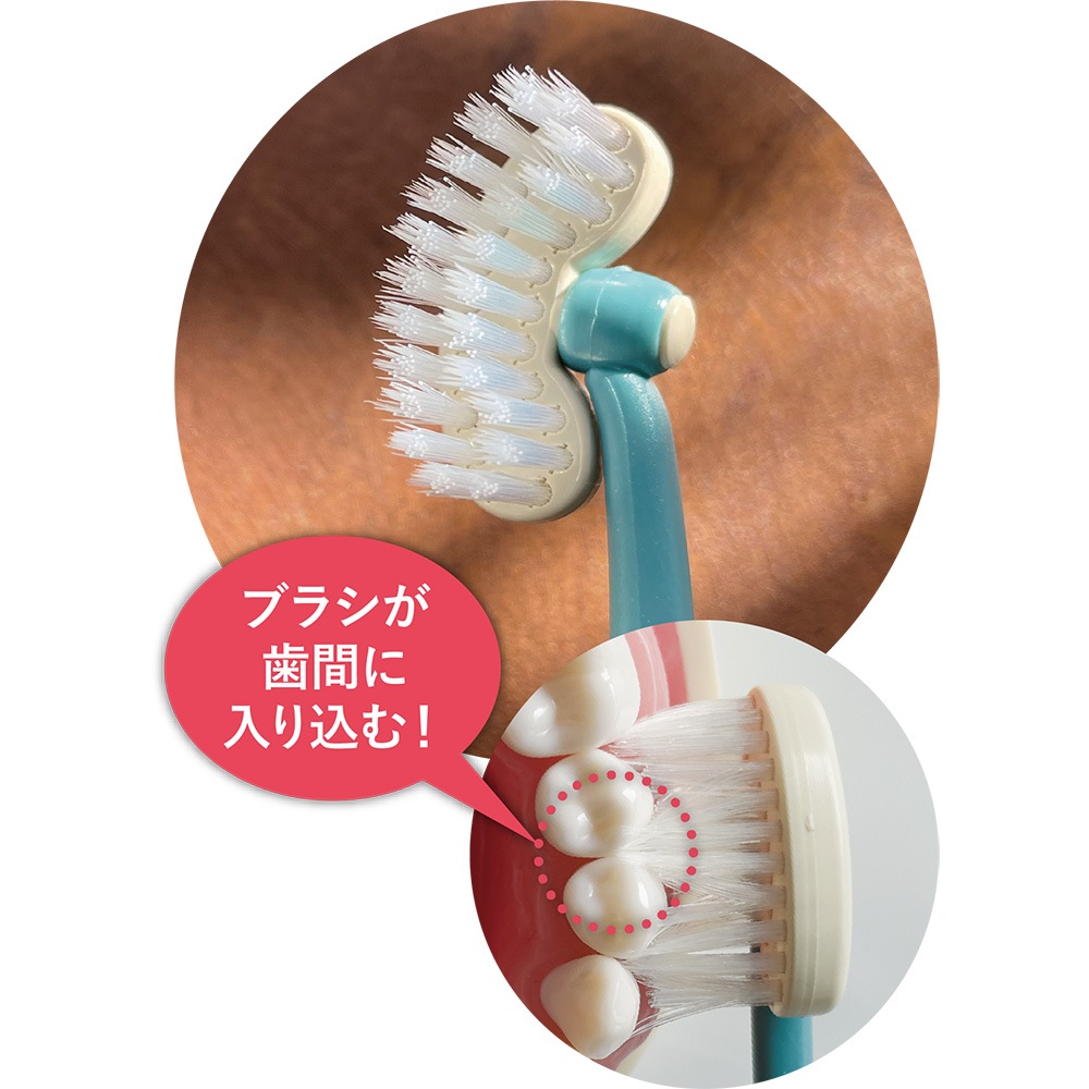 新品　FT　プリマドンナ　歯ブラシセット クリア歯ブラシ 3本セット/園児用プリンセス23