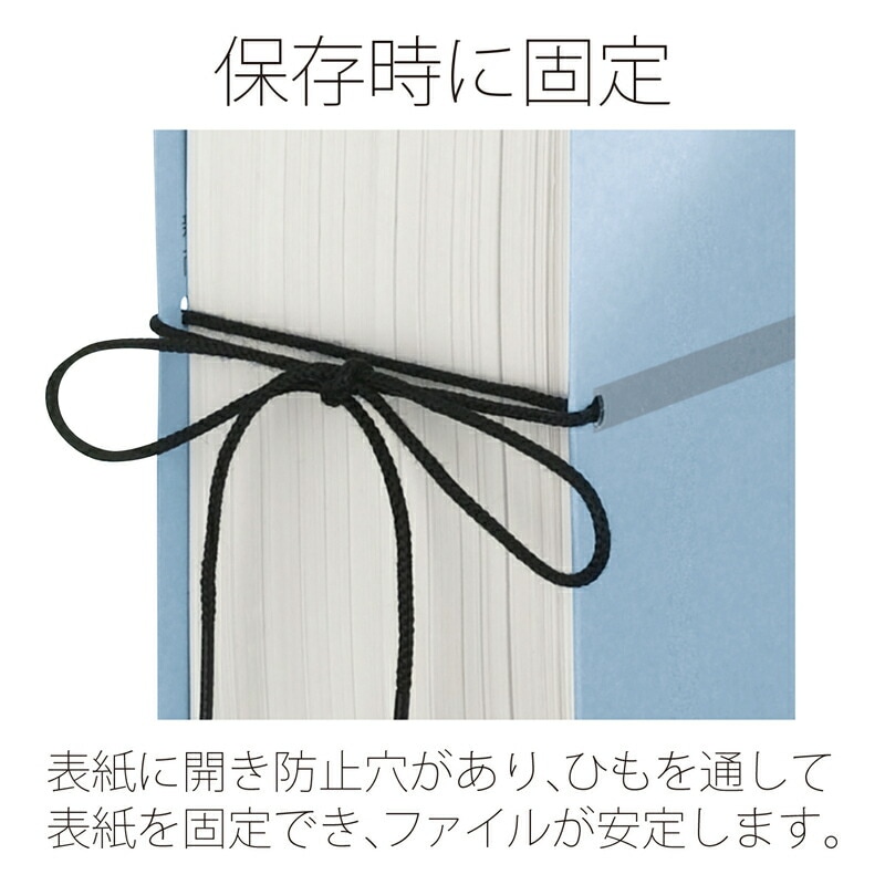 プラス(PLUS)背幅伸縮フラットファイル セノバス 替え表紙 つづり紐