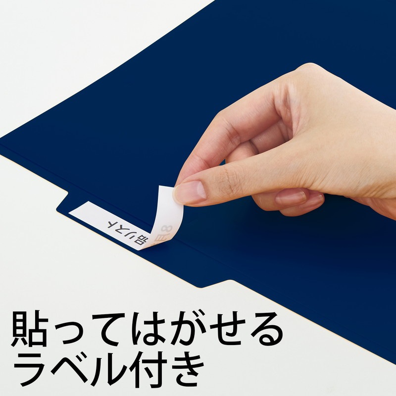 プラス(PLUS) ファイル PP個別フォルダー + A4 ネイビー 5枚パック FL