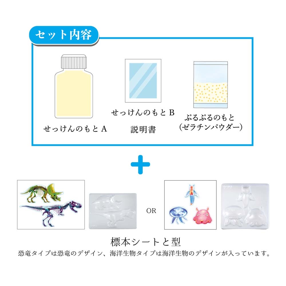 クツワ KUTSUWA 透明標本 せっけんをつくろう 生物 PT211B