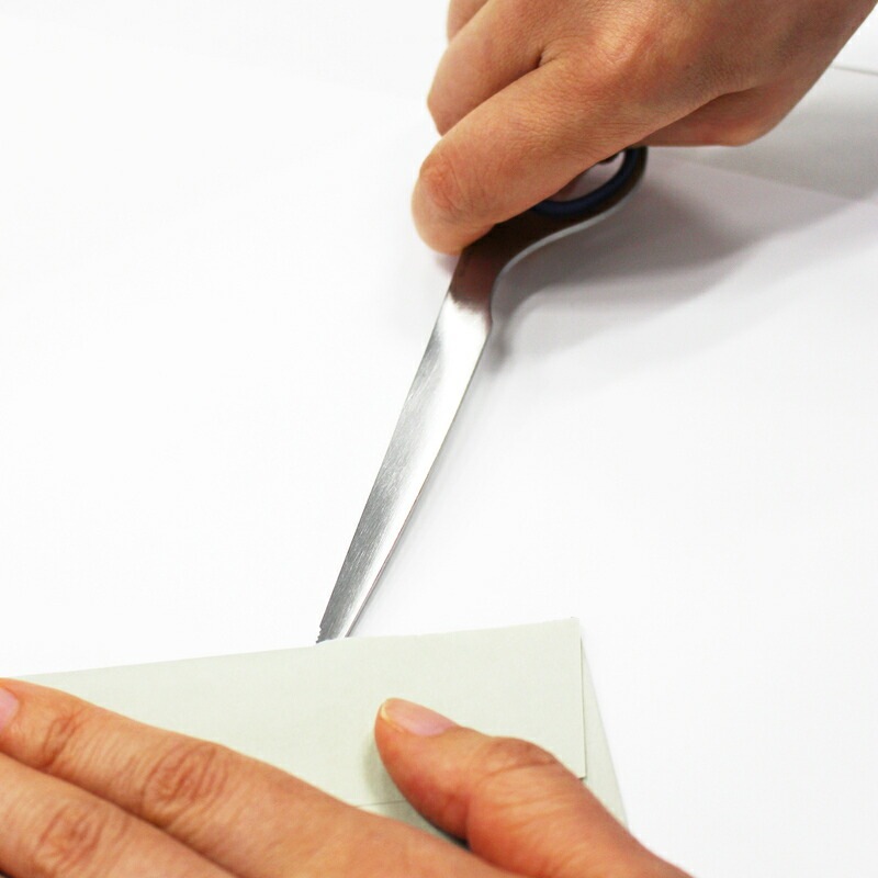 プラス(PLUS) ペーパーナイフ ステンレス ブルー SC-165PK 34-948