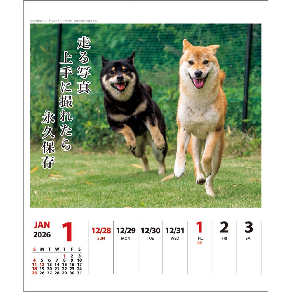 アートプリントジャパン 26年 カレンダー 犬川柳 週めくり 1000136871 1月はじまり