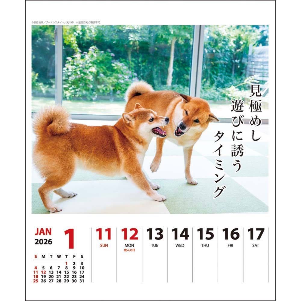 アートプリントジャパン 26年 カレンダー 犬川柳 週めくり 1000136871 1月はじまり