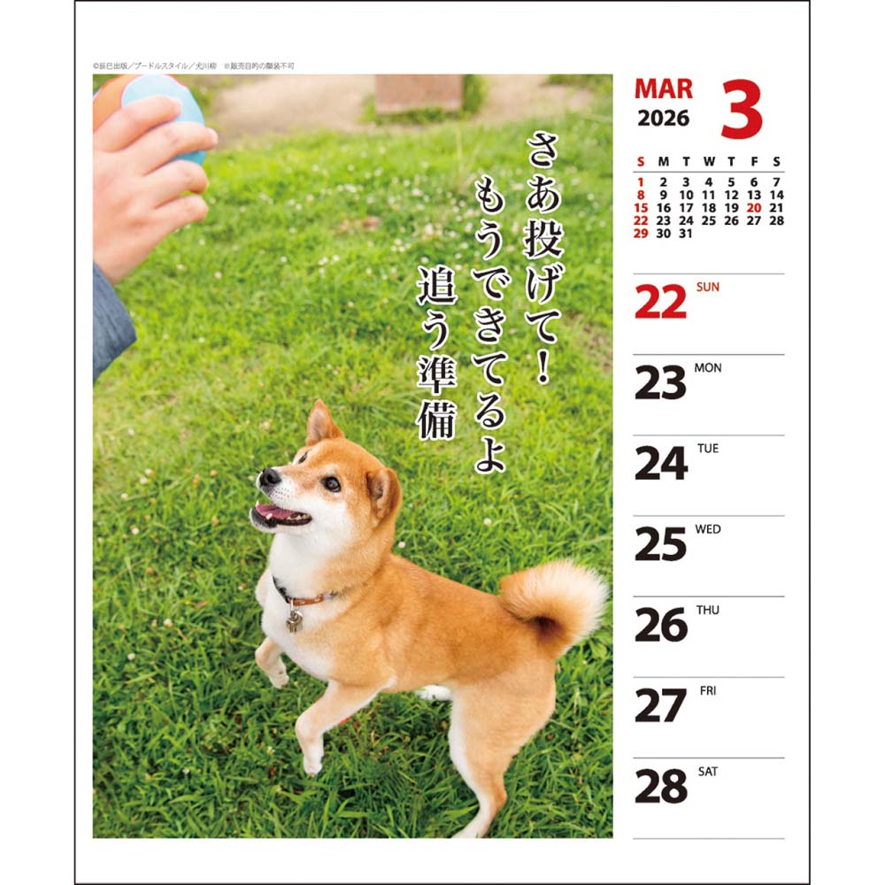 アートプリントジャパン 26年 カレンダー 犬川柳 週めくり 1000136871 1月はじまり