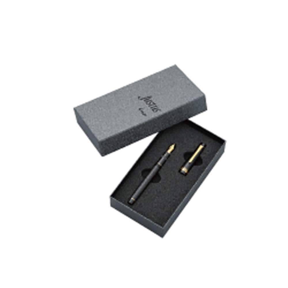 パイロット PILOT 万年筆 ジャスタス95 ストライプブラック 細字 FJ