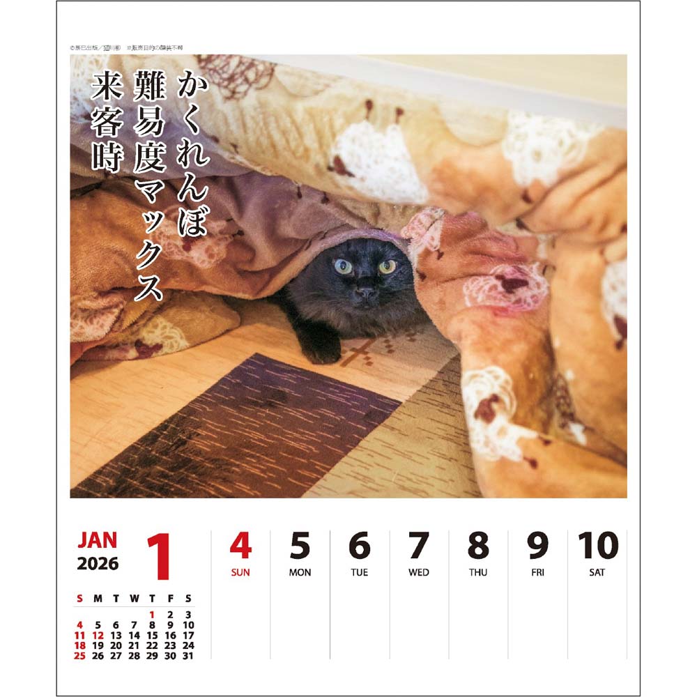 アートプリントジャパン 26年 カレンダー 猫川柳 週めくり 1000136872 1月はじまり