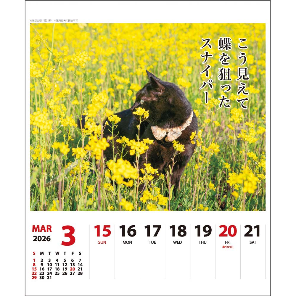 アートプリントジャパン 26年 カレンダー 猫川柳 週めくり 1000136872 1月はじまり