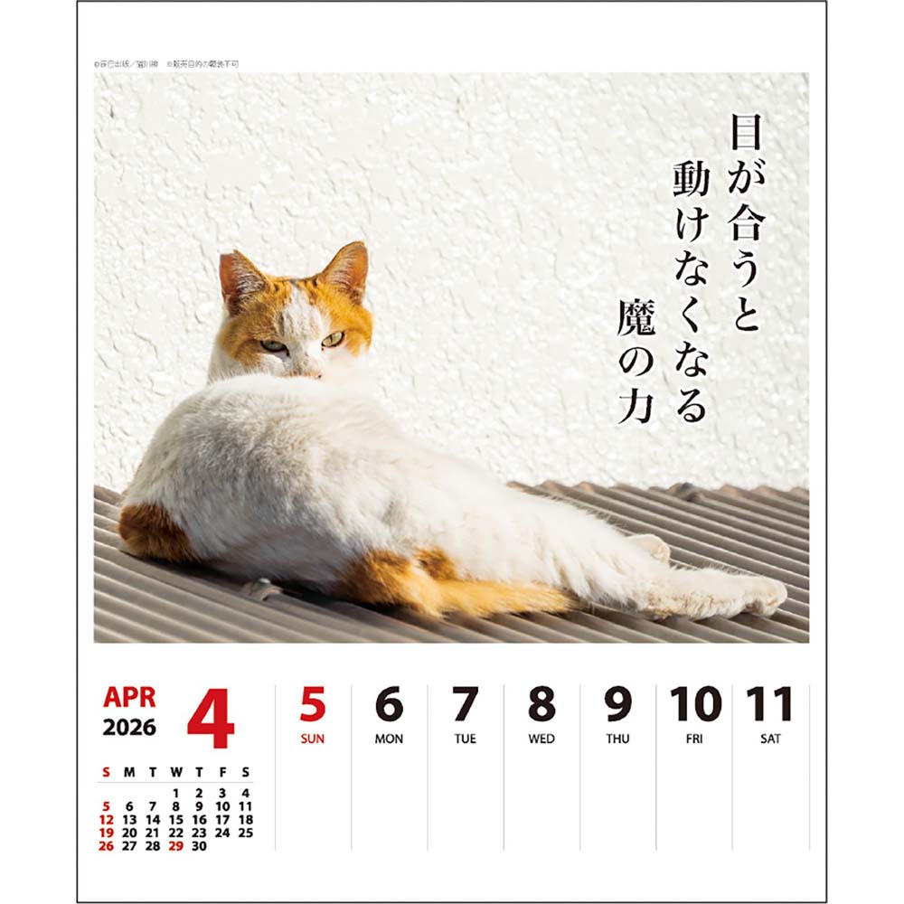 アートプリントジャパン 26年 カレンダー 猫川柳 週めくり 1000136872 1月はじまり