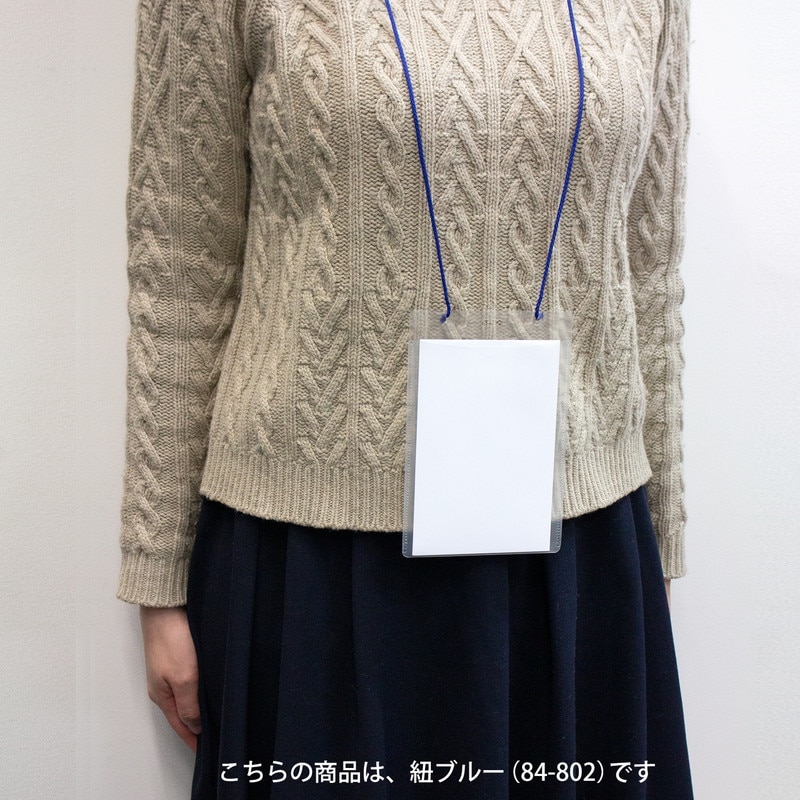 急行 大宮 EXPRESS 名札