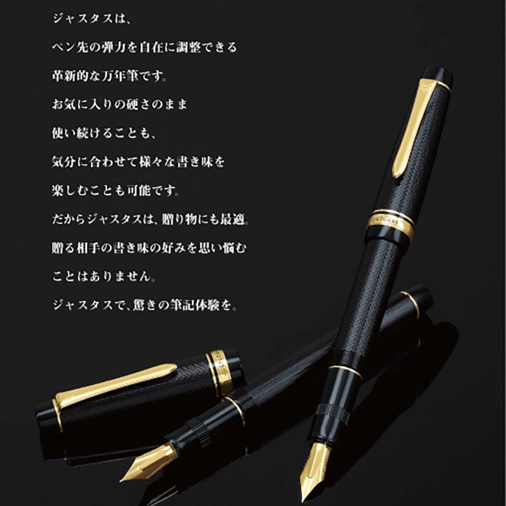 パイロット 14k 万年筆 ジャスタス 細字 パイロット 14k 万年筆 ジャスタス 細字