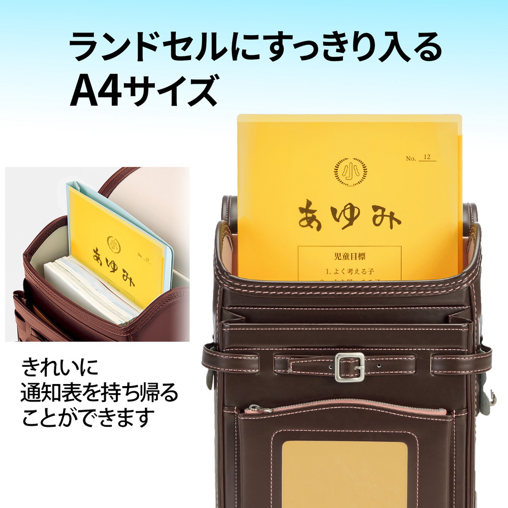 プラス(PLUS) クリアホルダー 通知表ホルダー 6ポケット 見開き収容可