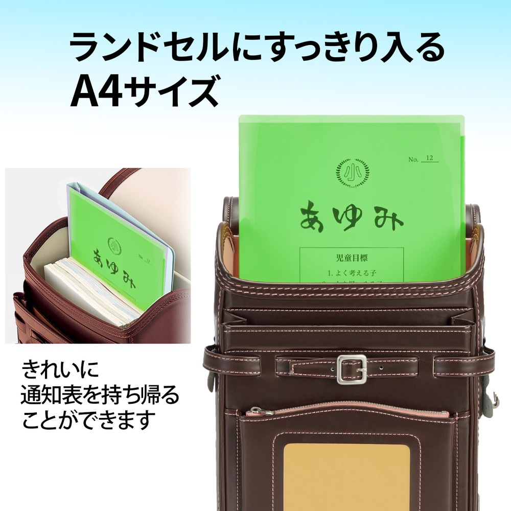 プラス(PLUS) クリアホルダー 通知表ホルダー 6ポケット 見開き収容可