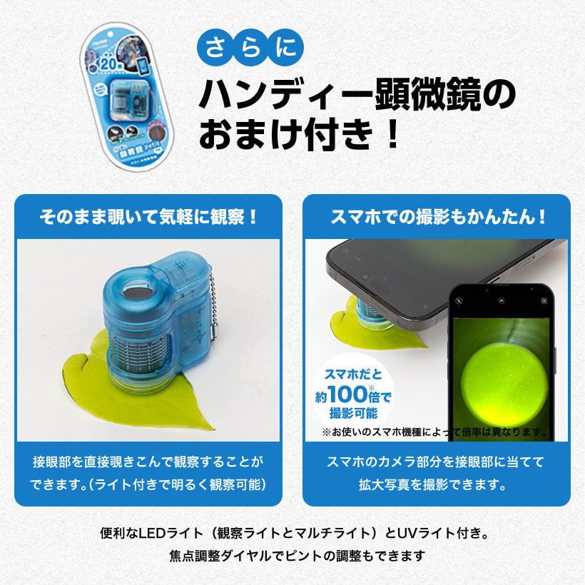 レイメイ藤井　しゃべる国旗付き地球儀　OYV403　球径25cm+ハンディ顕微鏡RXT150A　ブルー　おまけ付