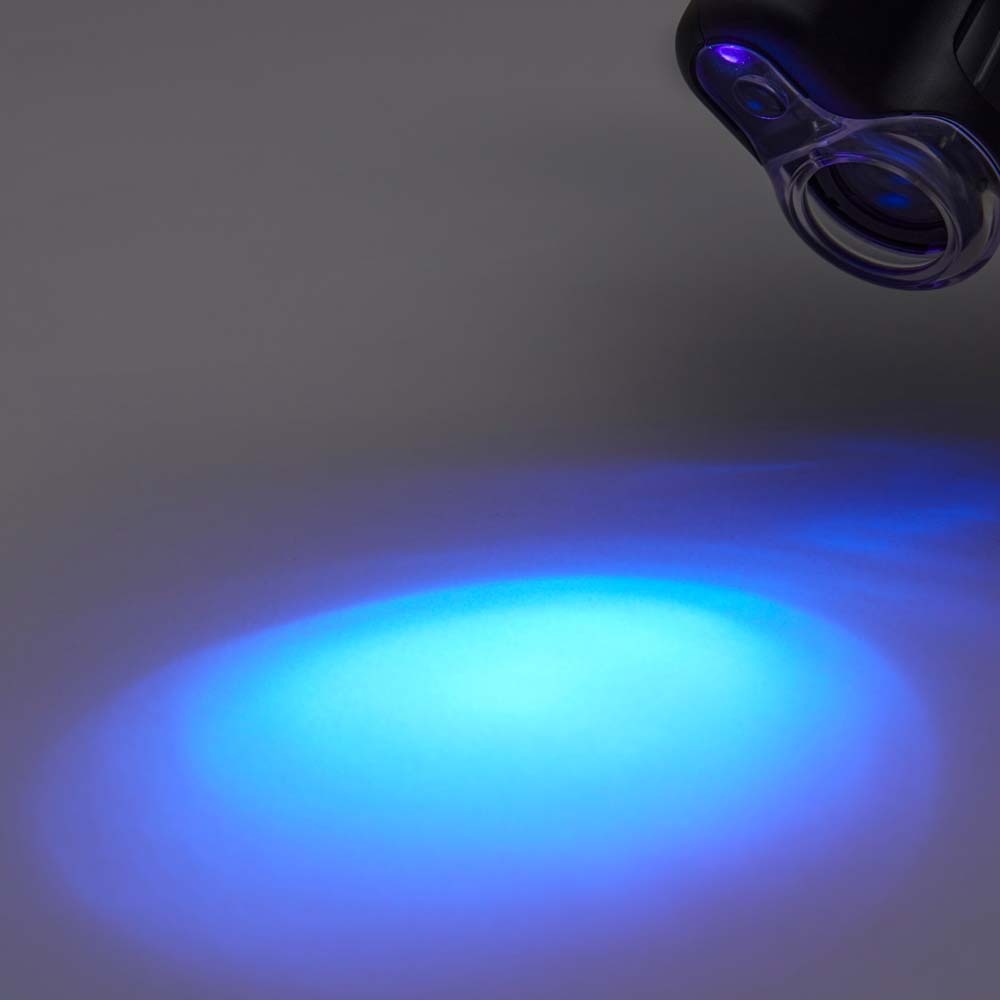 レイメイ藤井 Raymay ハンディ顕微鏡 petit ブラック RXT1142B