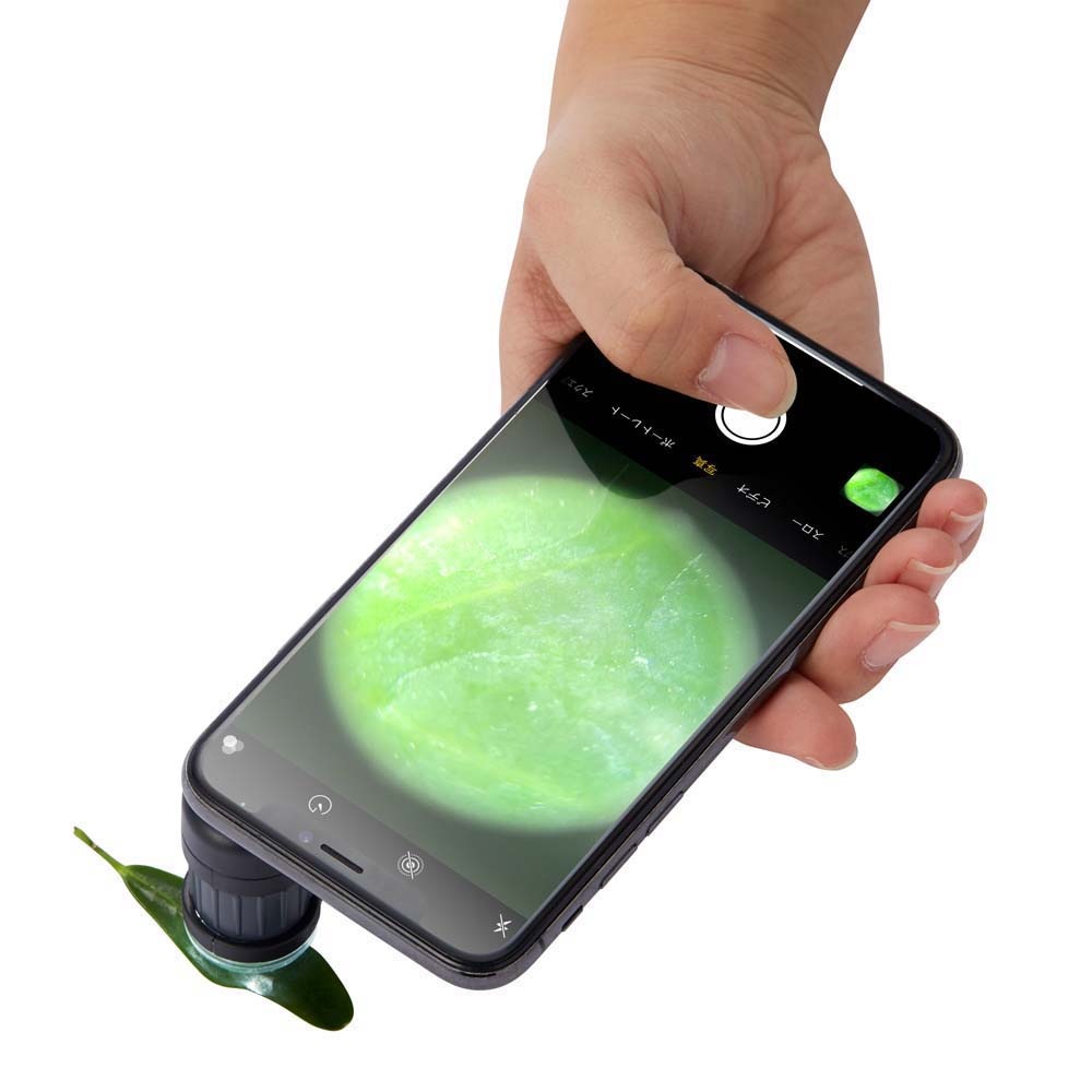 レイメイ藤井 Raymay ハンディ顕微鏡 petit ブラック RXT1142B