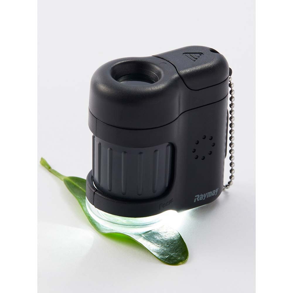 レイメイ藤井 Raymay ハンディ顕微鏡 petit ブラック RXT1142B