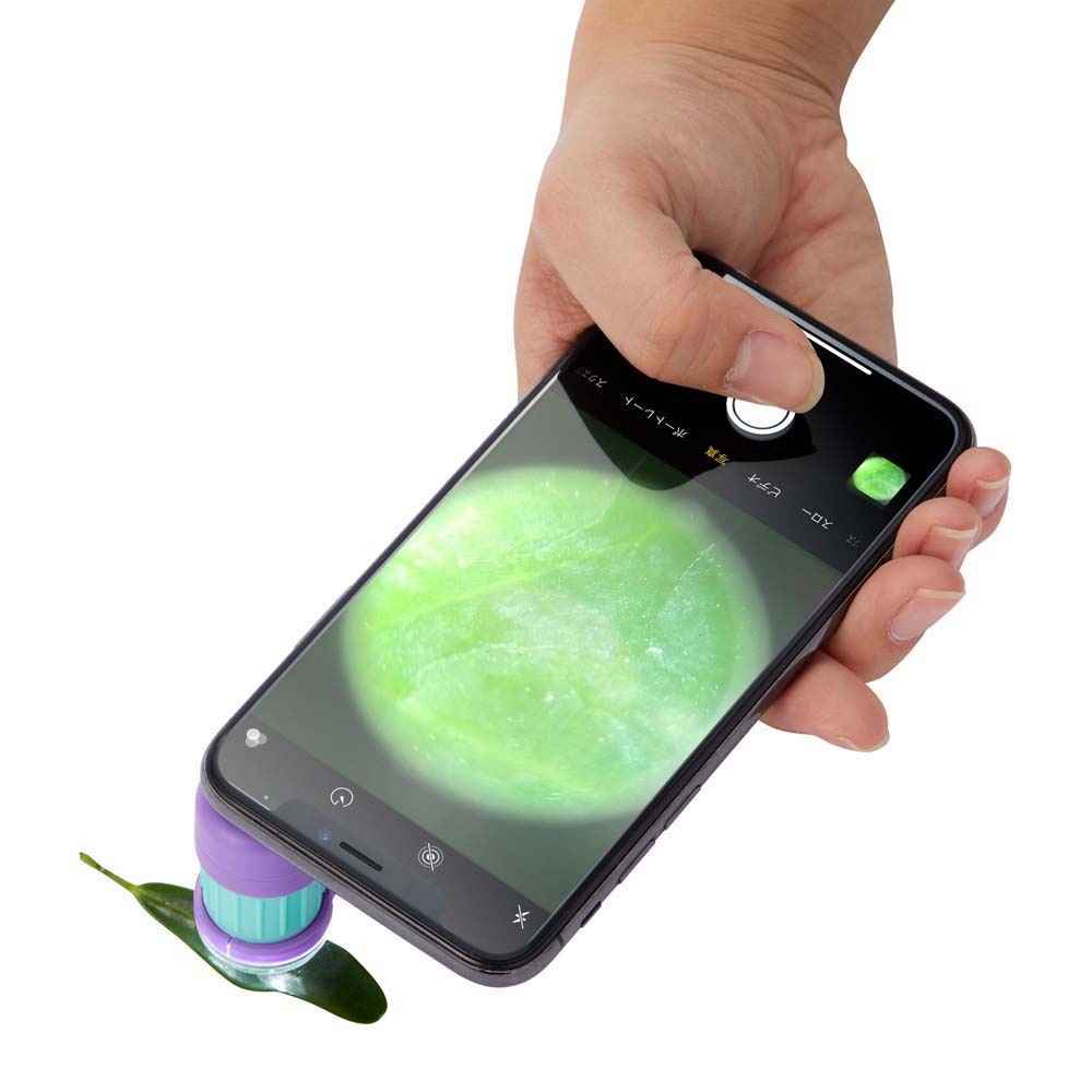 レイメイ藤井 Raymay ハンディ顕微鏡 petit バイオレット RXT1142V