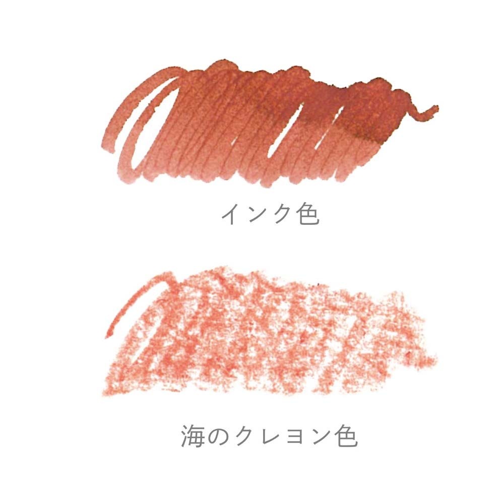 セーラー万年筆 SAILOR プロフィットジュニア+10 SAILOR / SATELLITE