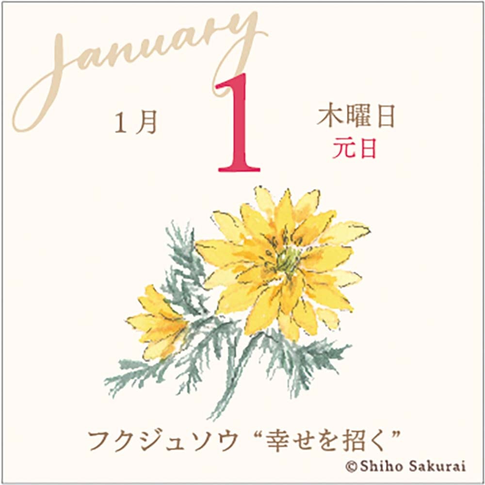 アートプリントジャパン 26年 カレンダー ミニチュア 日めくり 365日
