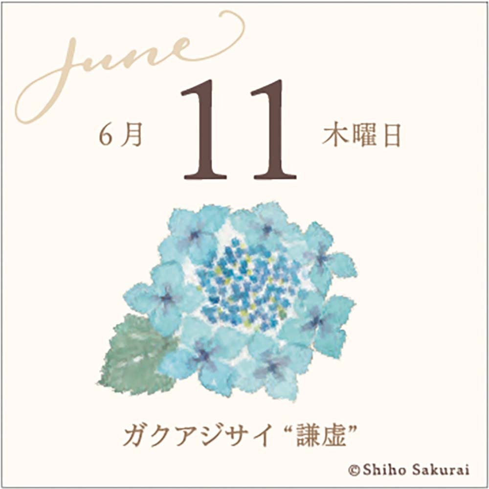 【希少／美品】 REBORN 日めくりカレンダー　A賞　限定品　一番くじ アートプリントジャパン 26年 カレンダー ミニチュア 日めくり 365日