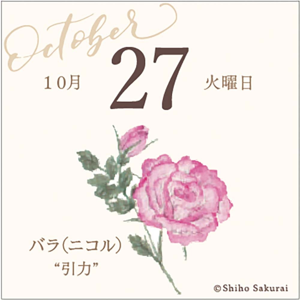 アートプリントジャパン 26年 カレンダー ミニチュア 日めくり 365日