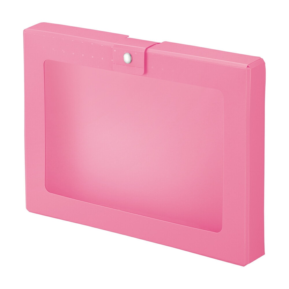 LIHIT LAB (リヒトラブ) CUBE FIZZ ハンドケース ピンク A699-12 | 全