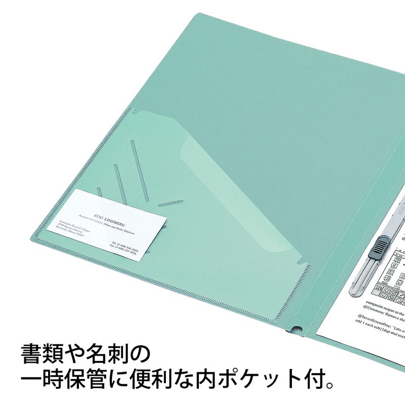 レターパックプラス A4ファイルサイズ 50枚 レターパックプラス A4ファイルサイズ 50枚