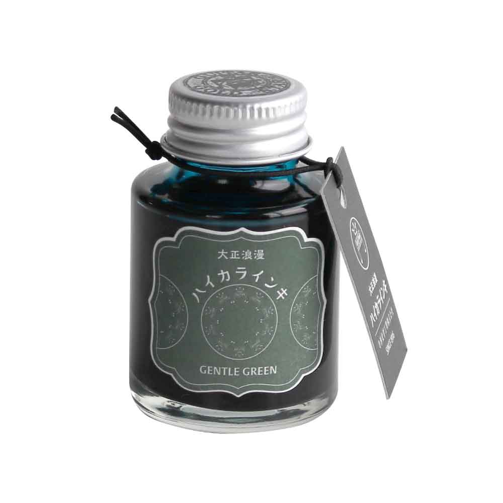 寺西化学工業 ギター 大正浪漫ハイカラインキ ジェントルグリーン | 全