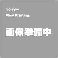 セーラー万年筆　筆記具名入れサービスsailor_naire