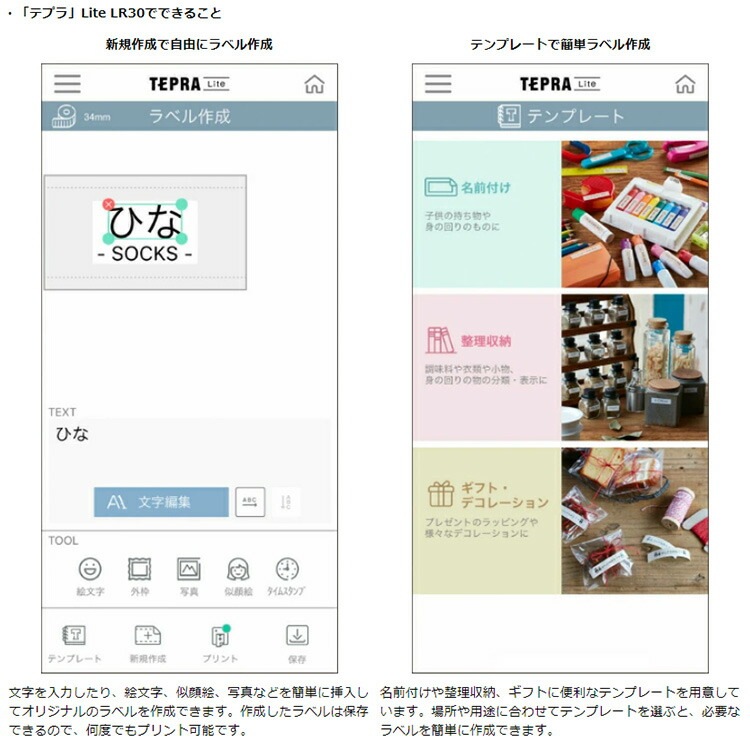 キングジム KING JIM ラベルプリンターテプラ Lite 白 LR30シロ