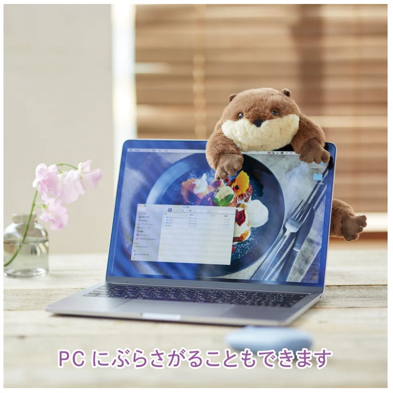 A-koさま専用ページ MYZOO | キャットステップ・猫用ベッド通販