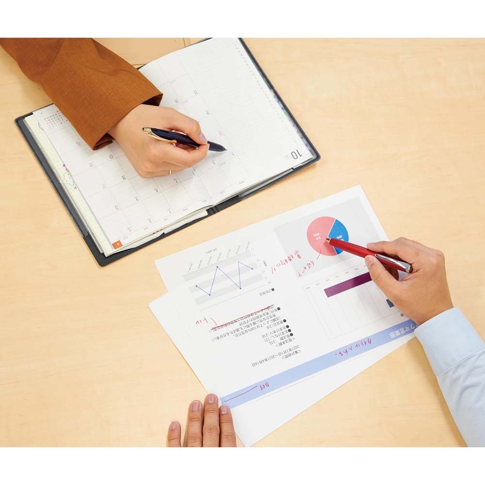 ゼブラ ZEBRA 水性サインペン フィラーレ ディレクション シルバー P