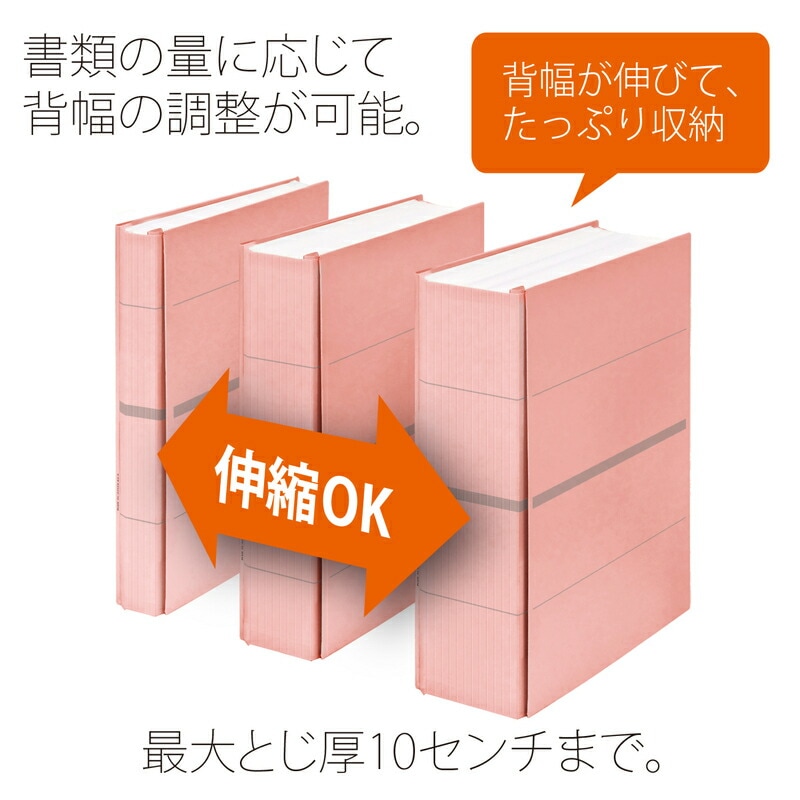 プラス(PLUS)背幅伸縮フラットファイル セノバス 樹脂とじ具 A4-S