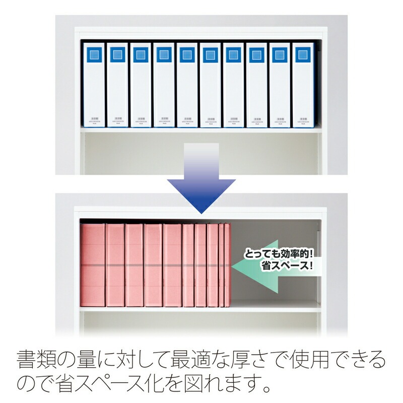 プラス(PLUS)背幅伸縮フラットファイル セノバス 樹脂とじ具 A4-S