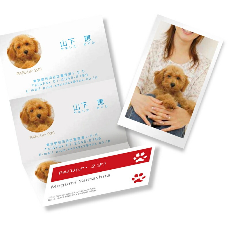 プラス(PLUS)インクジェット専用 きれいな光沢カード「キリッと両面