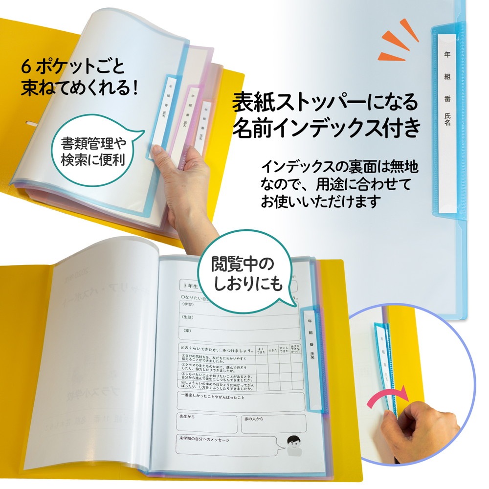 プラス(PLUS) 年組氏名リフィール式クリアファイル タテ入れ 6ポケット