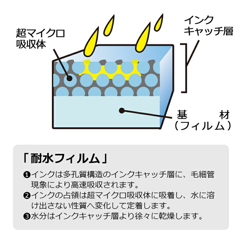 プラス(PLUS) インクジェット用紙 貼ってはがせる 超耐水 光沢フィルム